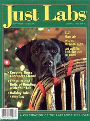 Just Labs